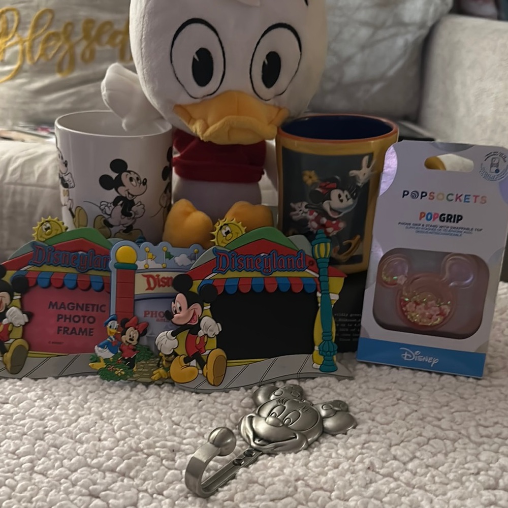 Disney Collectible Set with Mickey and Donald